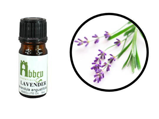 Lavender Absolute Oil